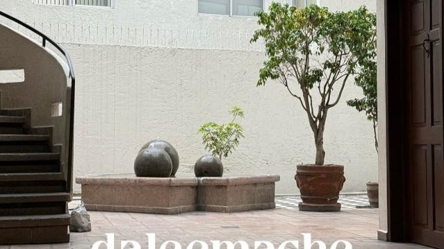 Imagen 3 de la galería del partner DaleeMache Studio