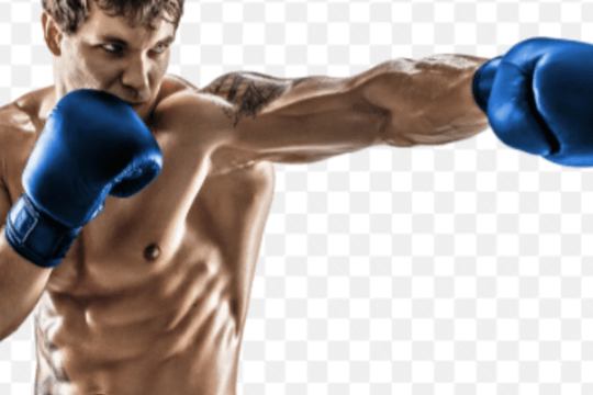 Bild 3 von Box-Ring Westerwald Pestalozzi Grundschule Partnergalerie