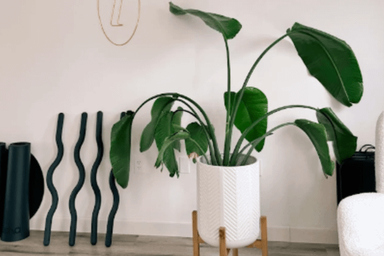 Image 2 from Toned Studio Urbana partner gallery