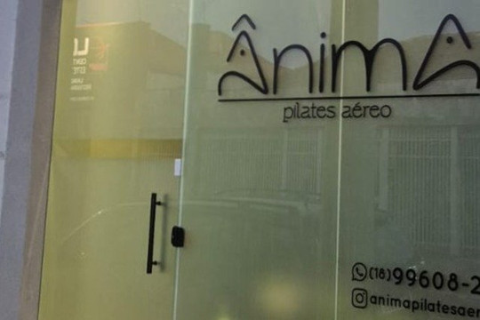 Imagem 2 da galeria do parceiro Ânima Pilates Aéreo