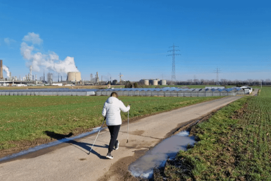 Bild 3 von Team Lena Partnergalerie