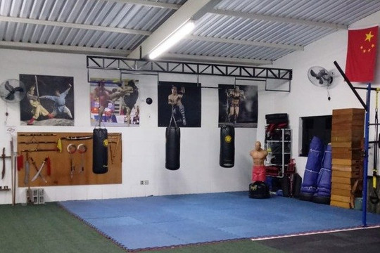 Imagem 1 da galeria do parceiro Academia TFP Kung Fu Training