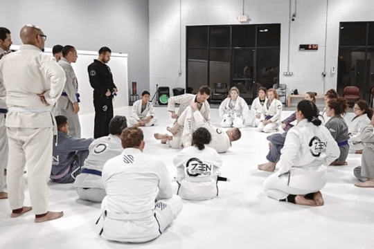 Image 1 from Zen Martial Arts partner gallery