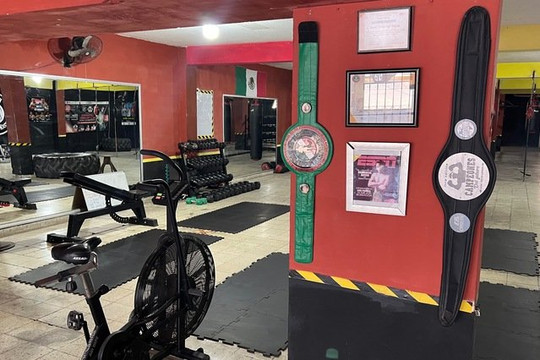 Imagen 1 de la galería del partner Reyes Boxing Workout