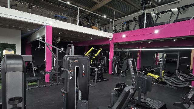 Imagem 1 da galeria do parceiro CT Thaise Sommer