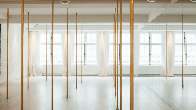 Image 2 from Milan Pole Dance Studio - Montréal partner gallery