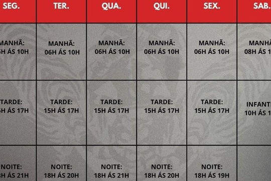 Imagem 2 da galeria do parceiro G FIGHT TEAM MUAY THAI