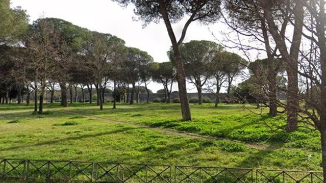 Immagine 2 dalla galleria del partner Massimo Conte Personal Trainer