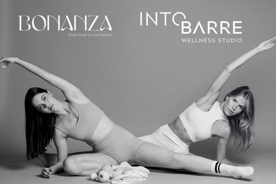 Imagen 2 de la galería del partner Into Barre Wellness Studio