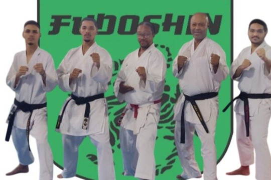 Imagem 1 da galeria do parceiro Academia Fudoshin