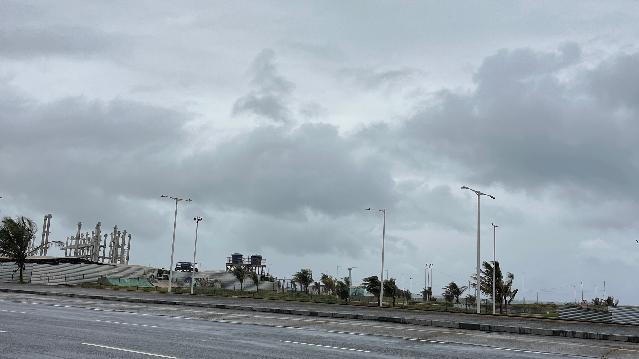 Imagem 2 da galeria do parceiro Treinador Gustavo Pedreira 1