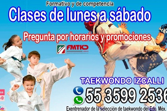 Imagen 2 de la galería del partner Taekwondo Studio Izcalli
