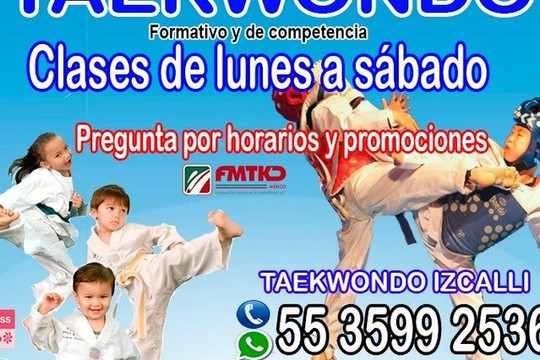 Imagen 3 de la galería del partner Taekwondo Studio Izcalli