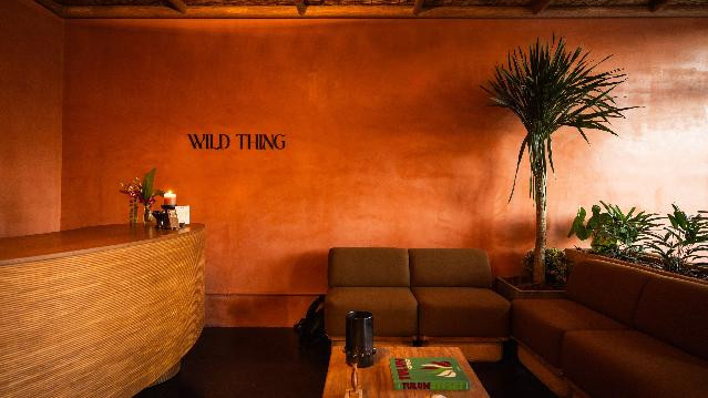 Image 3 from Wild Thing partner gallery