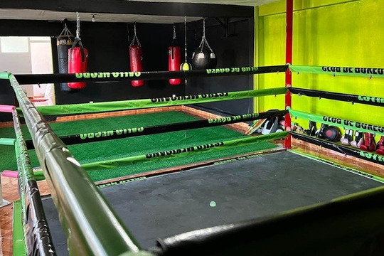 Imagen 1 de la galería del partner Club de Box Gallo Negro