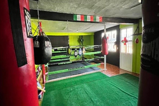 Imagen 2 de la galería del partner Club de Box Gallo Negro