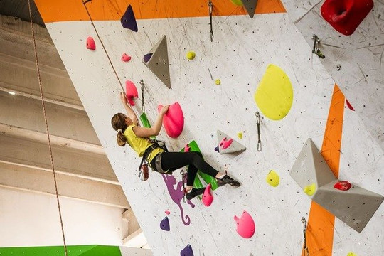 Immagine 1 dalla galleria del partner Jungle Rock - arrampicata indoor