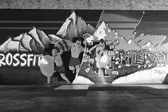 Image 1 from Crossfit Battle Ready partner gallery