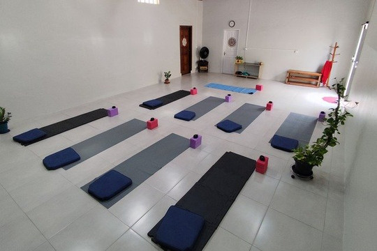 Imagem 1 da galeria do parceiro Yoga Alma Fecunda