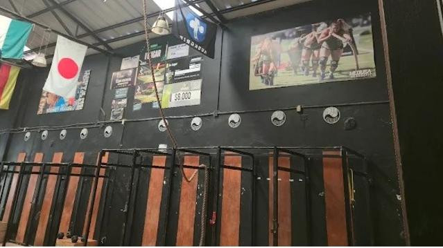 Imagen 2 de la galería del partner Medusa XFIT