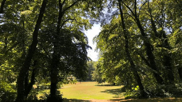 Bild 3 von Outdoor Classes Adlershof Partnergalerie