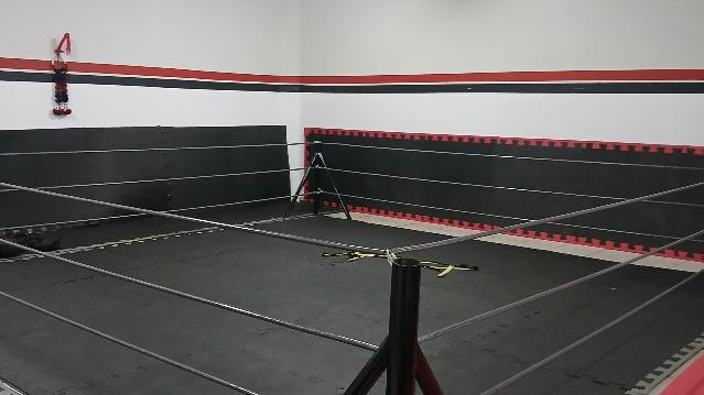 Imagem 3 da galeria do parceiro Team Eagles Escola de Lutas