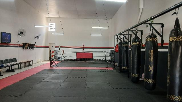 Imagem 1 da galeria do parceiro Team Eagles Escola de Lutas