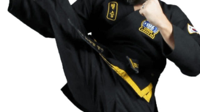 Image 3 from Southeast Michigan Academy of Choi Kwang Do partner gallery