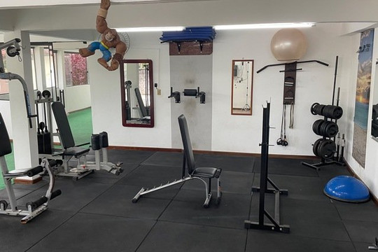 Imagem 1 da galeria do parceiro Blacksmith Treinamento