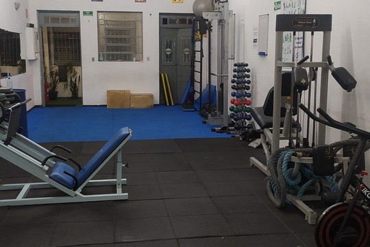 Imagem 1 da galeria do parceiro BF Treinamento Funcional Personalizado