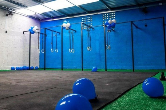 Imagem 1 da galeria do parceiro C.T. Leandro Silva