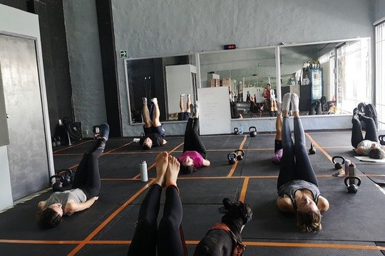 Imagen 3 de la galería del partner Virtus Effective Training