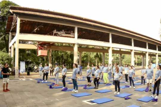 Imagem 3 da galeria do parceiro Yoga Dado Motta