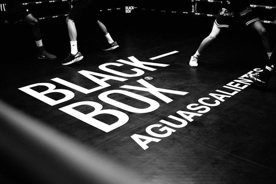 Imagen 2 de la galería del partner Black Box Aguascalientes