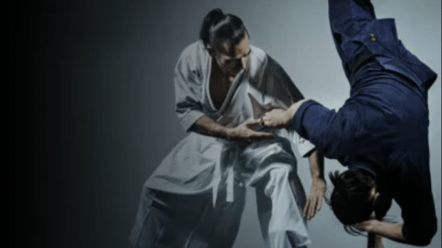 Image 1 de la galerie du partenaire Mcgill Aikido Club