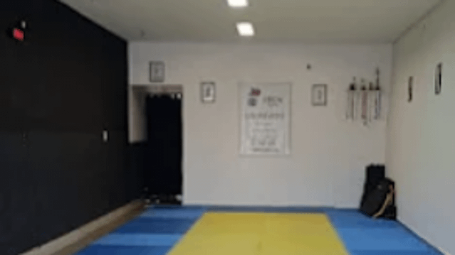 Imagem 1 da galeria do parceiro Ueda Jiu Jitsu Polo São João
