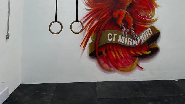 Imagem 1 da galeria do parceiro CT Miramoto