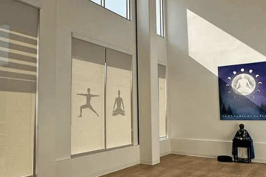 Image 1 from Downtown Yoga Shala partner gallery