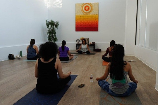 Image 3 from Downtown Yoga Shala partner gallery