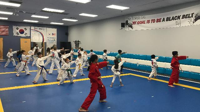 Image 3 from World Champion Taekwondo partner gallery