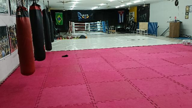 Imagem 1 da galeria do parceiro Ds Kickboxing