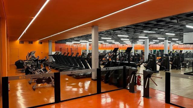 Imagem 1 da galeria do parceiro Harmonia do Corpo