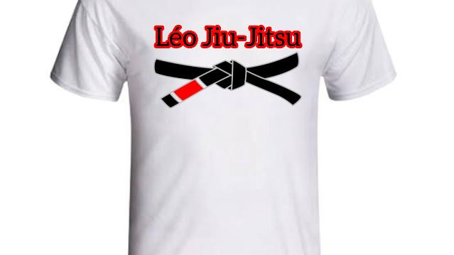 Imagem 3 da galeria do parceiro Academia LJJ