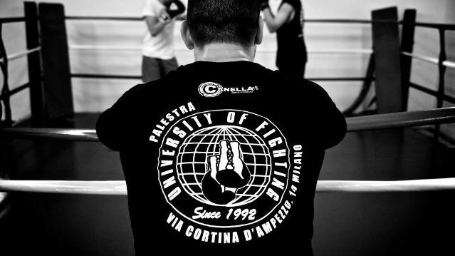 Immagine 1 dalla galleria del partner University Of Fighting
