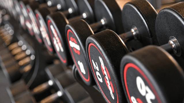 Bild 2 von Fitness Line Partnergalerie