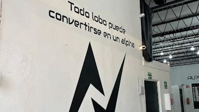 Imagen 2 de la galería del partner Alpha Version