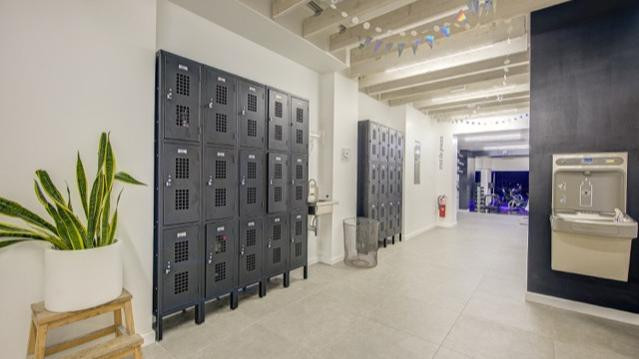 Image 3 from SPIN - FH partner gallery