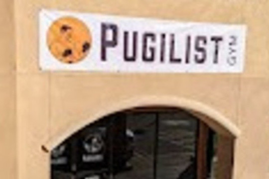 Image 2 from Pugilist Gym partner gallery