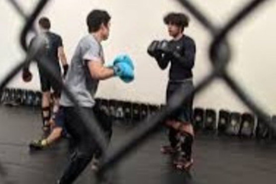 Image 3 from Pugilist Gym partner gallery