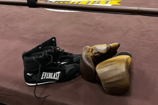 Image 1 from Pugilist Gym partner gallery